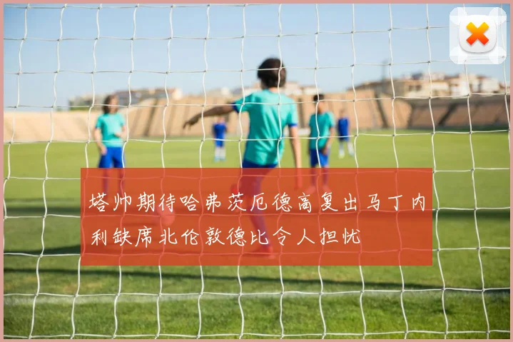 塔帅期待哈弗茨厄德高复出马丁内利缺席北伦敦德比令人担忧
