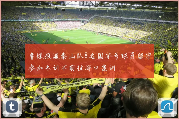 鲁媒报道泰山队8名国字号球员留守参加冬训不前往海口集训