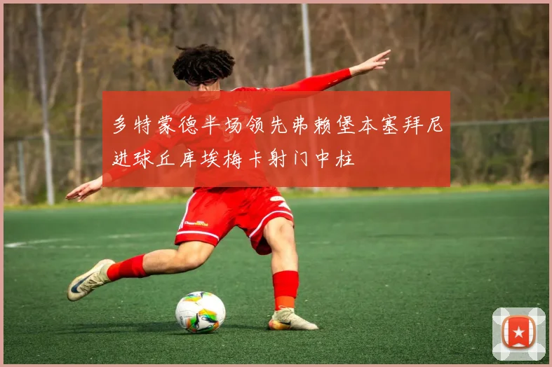 多特蒙德半场领先弗赖堡本塞拜尼进球丘库埃梅卡射门中柱
