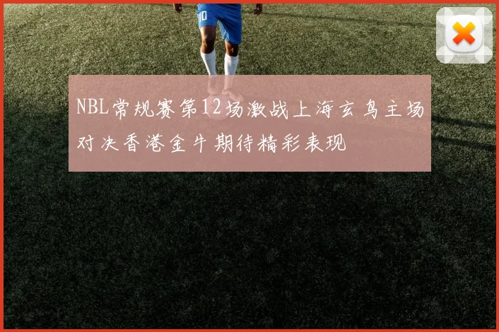 NBL常规赛第12场激战上海玄鸟主场对决香港金牛期待精彩表现